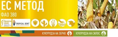 Кукуруза метод