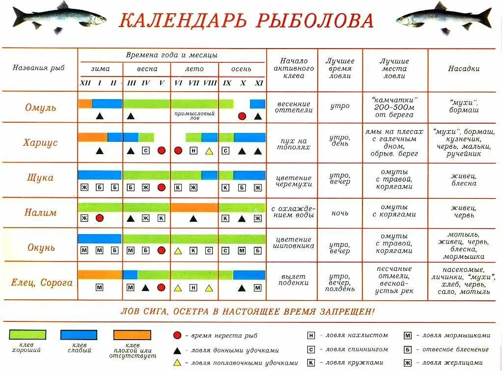 Календарь клева рыбы на 2024г. Таблица активности клёва рыбы. Таблица клева 2023. Рыболовный календарь. Календарь рыбалки.