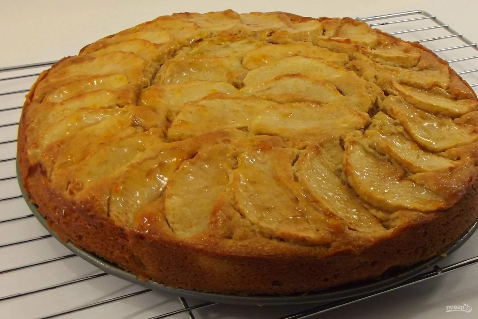 Вкуснейший яблочный пирог простейший рецепт. Шарлотка с яблоками. Шарлотка с яблоками на сметане. Пироги с яблоками в духовке. Пирог с яблоками и сметаной.
