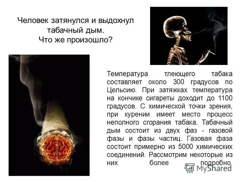 великан на поляне костёр горит костёр. температураг оркния костра. температура сжигания костей. при какой температуре сгорают кости. температура горения древесины таблица.