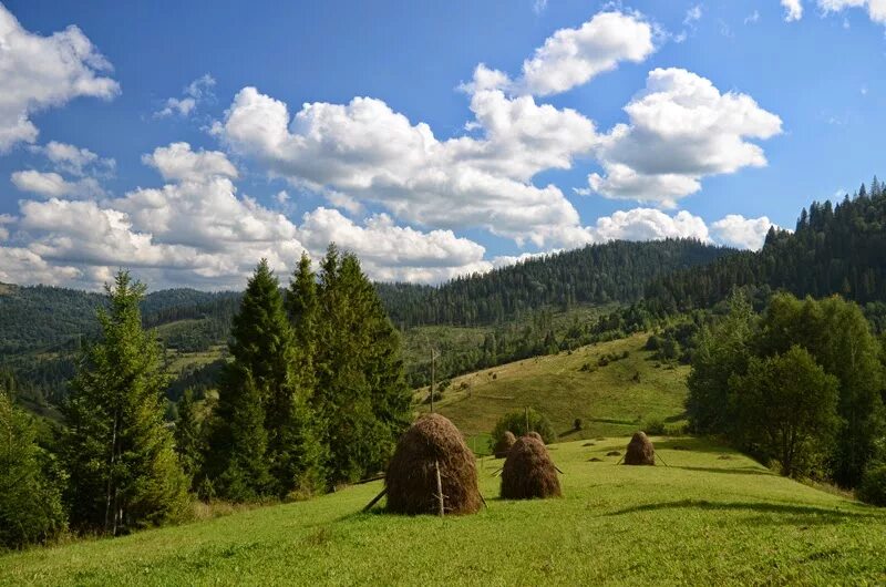 Мокик лмз-2. Карпаты в ивано франковске. Мопед рига карпаты. Мокик карпаты. Мопед карпаты 2 спорт.