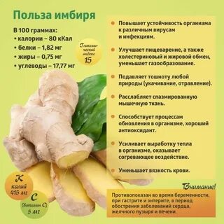 Какие свойства имбиря
