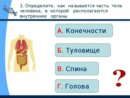 Строение организма тест 8 класс