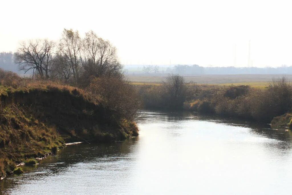 Протва протвино. Протвино река протва. Протва протвино. Река протва в протвино фото. Ершово подмосковье.