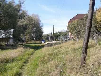 Погода озеры московская область