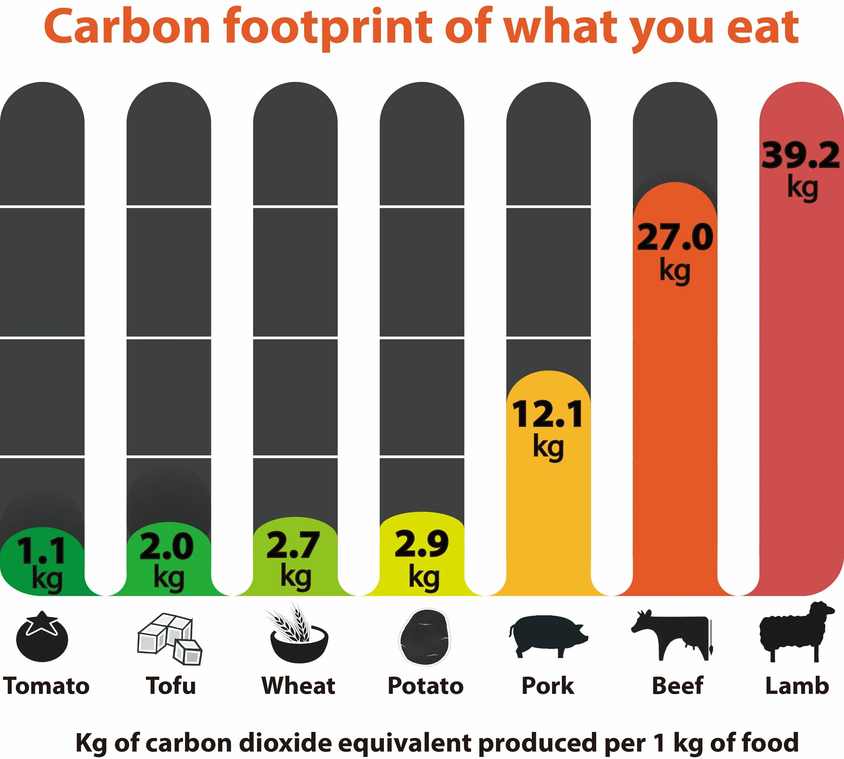 Углеродный след. Углеродный след человека. Карбоновый след. Carbon footprint.