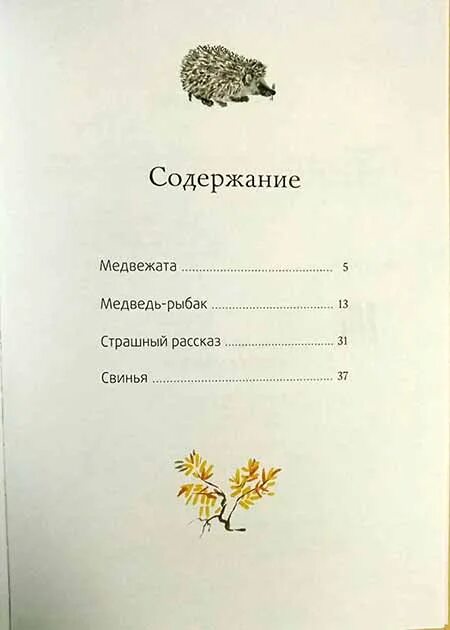 Медвежьи содержание