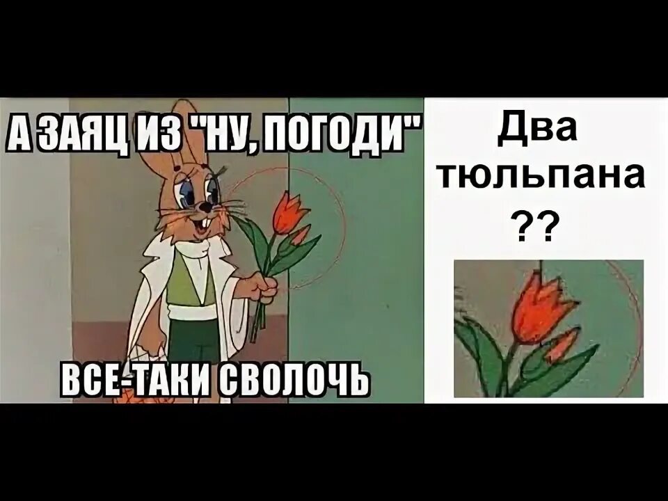 Средневековый заяц. Анекдоты про зайца детские. Анекдот про зайца и волка. Ютуб зайка. Зайчик поет.