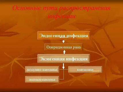 Экзогенное распространение инфекции
