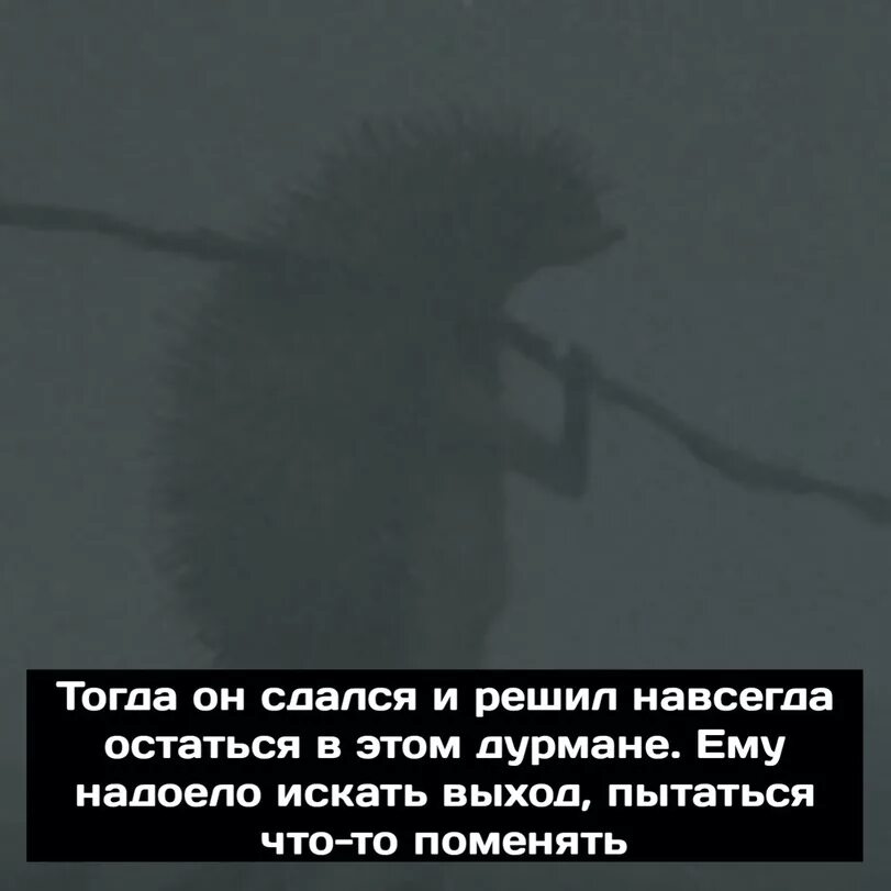 Раз и навсегда решит проблему