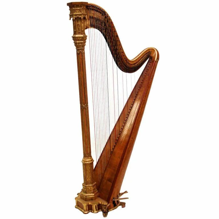 C harp