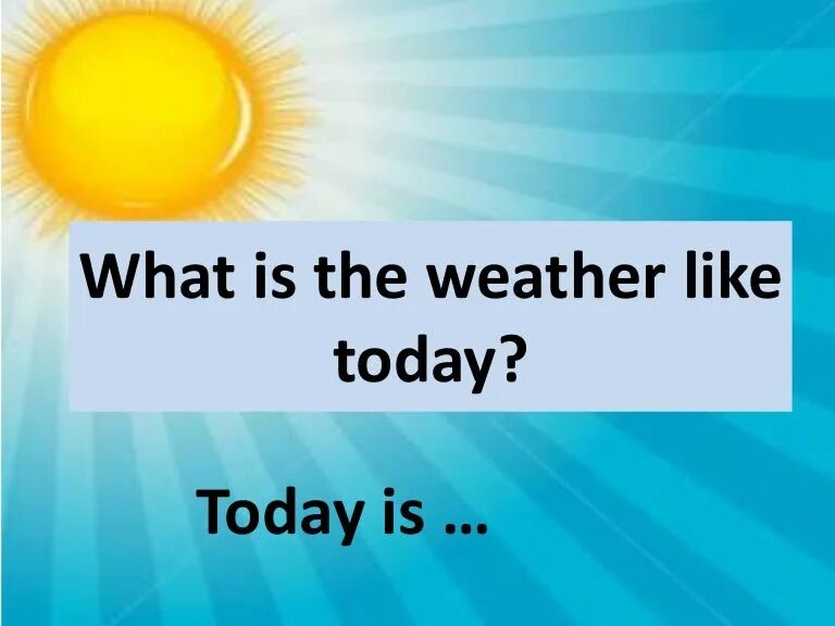 The weather is good today. What the weather like today. What is the weather. What is the weather today. Weather like today.