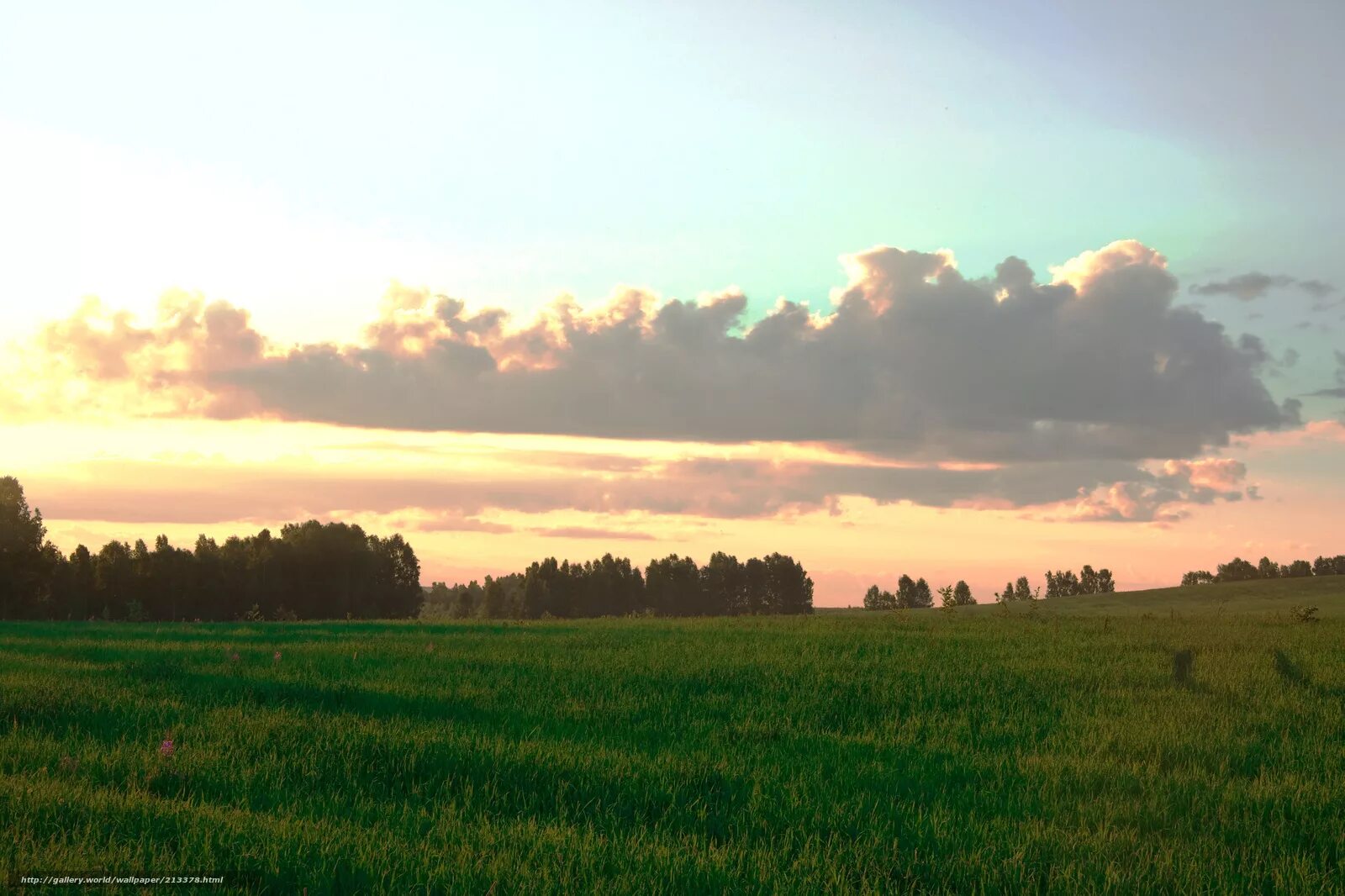 Красивые картинки на рабочий стол закат в деревне. Grass field Sunset. Трава под закатным солнцем. Обои на телефон с закатом и травой деревня. Query field