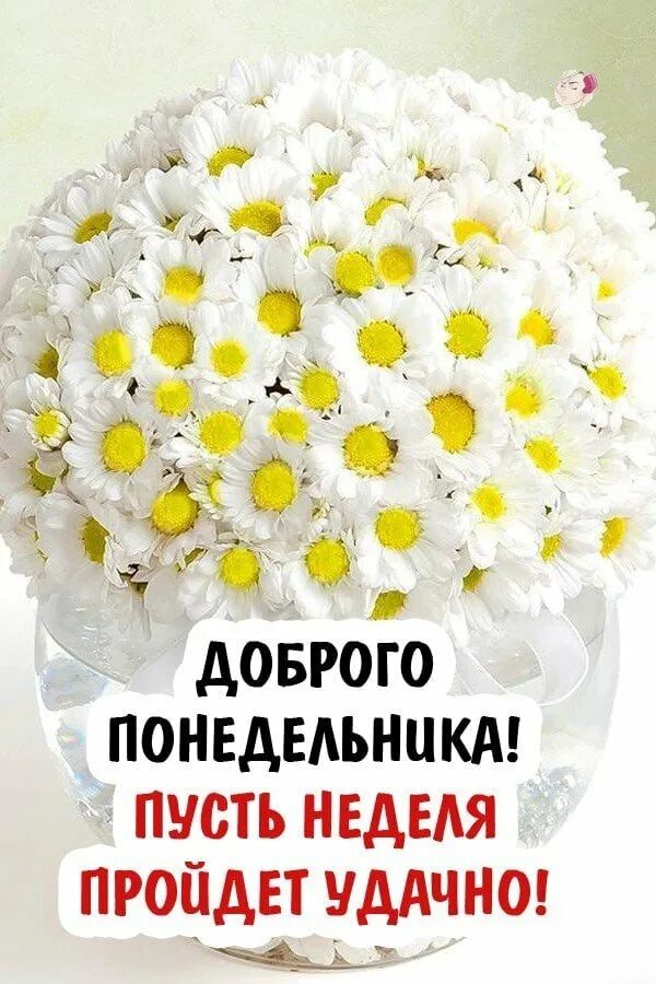 Доброе утро легкого понедельника и удачной. Доброго понедельника. С добрым утро понкдкльника. Стдньным утром понедельника. Поздравление с понедельником.