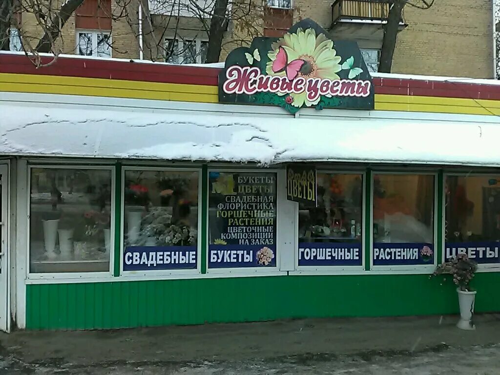 букетная лавка 50 лет октября кемерово. петуния королевская клумба. ул. оригинальные названия цветочных магазинов. букетная лавка кемерово.