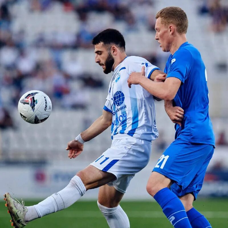 черноморец новороссийск матчи