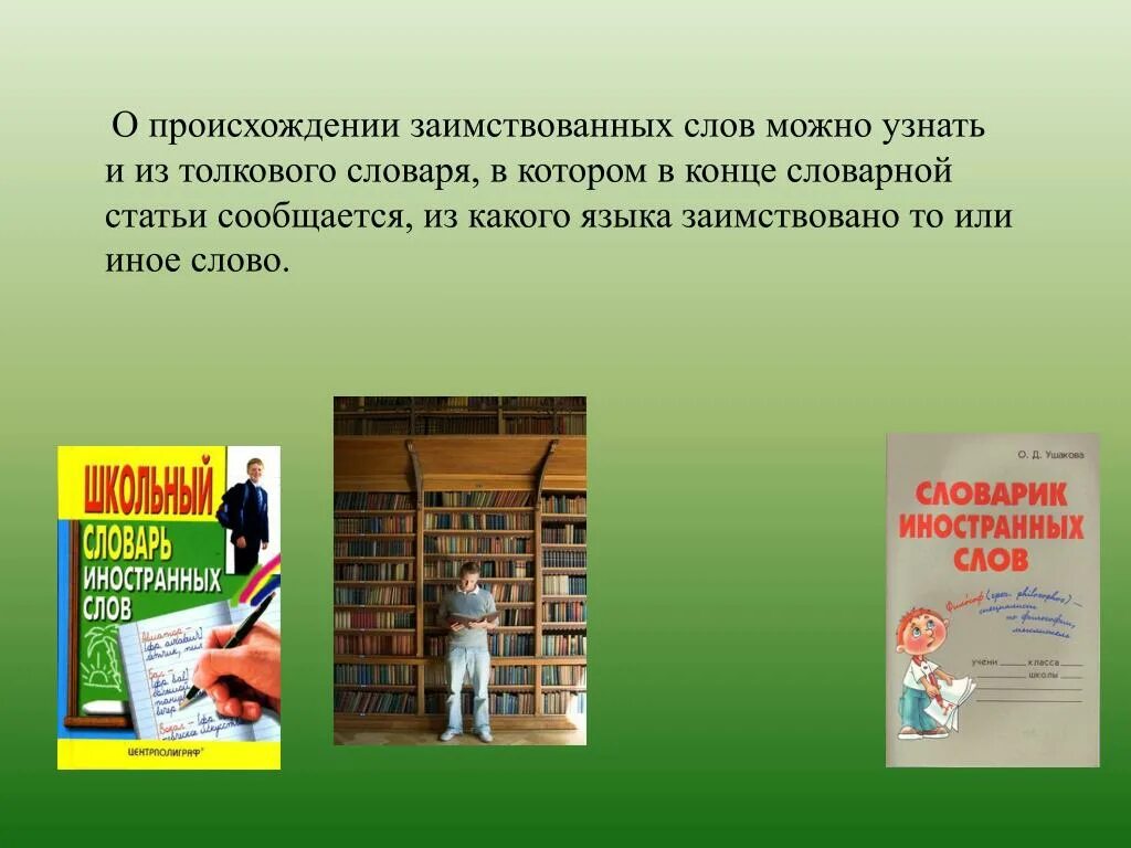 Откуда заимствованы слова. Заимствованные слова. Происхождение заимствованных слов. Слова из толкового словаря. Заимствованные слова из толкового словаря.