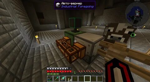Dynamic 1.12 2