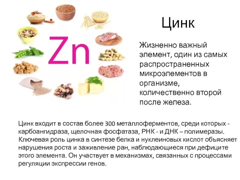 Цинк витамины в каких продуктах. Биологическая роль цинка в организме человека. Витамин цинк для чего нужен организму. Цинк в продуктах.