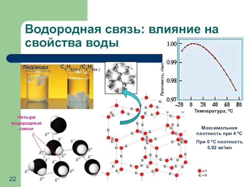 Водородные связи в воде. Водородная связь влияние. Характеристика водородной связи. Влияние водородной связи на свойства воды.