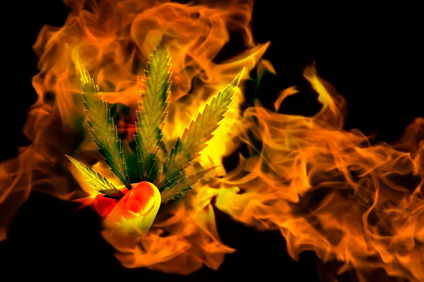 Leaf in fire. Leaf in fire. Листья в огне. Leaf in fire. Огненные листья.