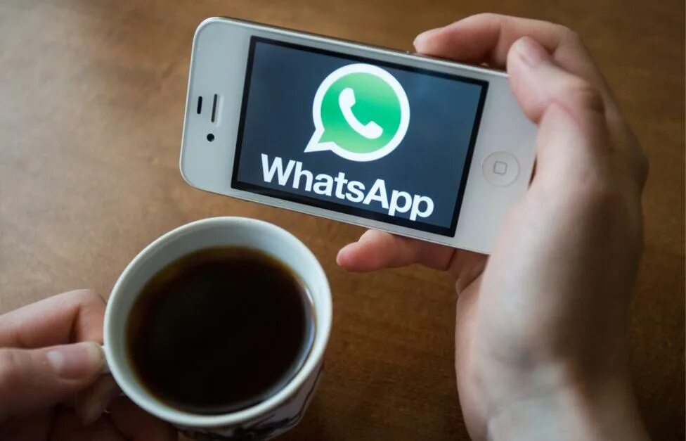 Ватсап не работает 19 августа. Работа в ватсап. вацап удалённая работа. работа в whatsapp удаленно. удаленная работа в вотсапе.
