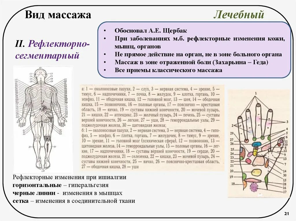 Массажная система. Основные приемы рефлекторно сегментарного массажа. Рефлекторно сегментарный массаж при заболеваниях. Соединительно-тканный массаж. Вид рефлекторно-сегментарного массажа.