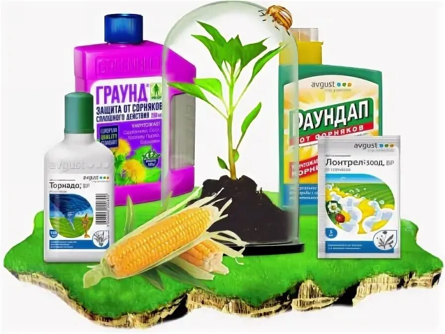 Раствор для уничтожения. Уничтожение сорняков народными средствами. раствор для уничтожения сорняков. порошковые препараты для уничтожения сорняков. народное средство для уничтожения сорняков содой.