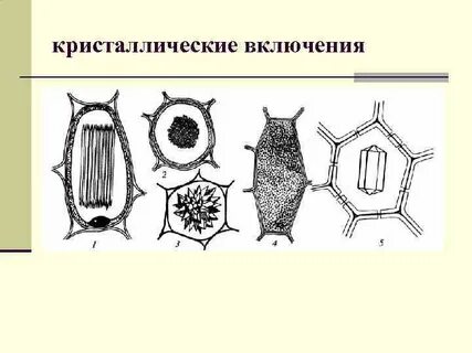Наличие включений