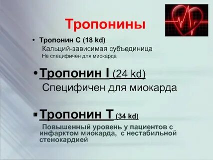 Тропонин 1