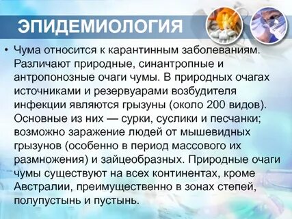 Определите происхождение болезней приведенных в списке холера