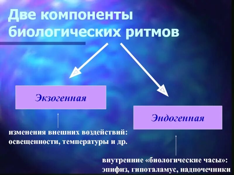 Несколько компонентов