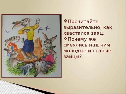 Почему у зайца короткий