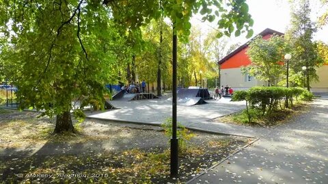 Парковая пенза