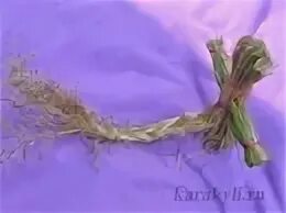 Клюквинка и травяная косичка