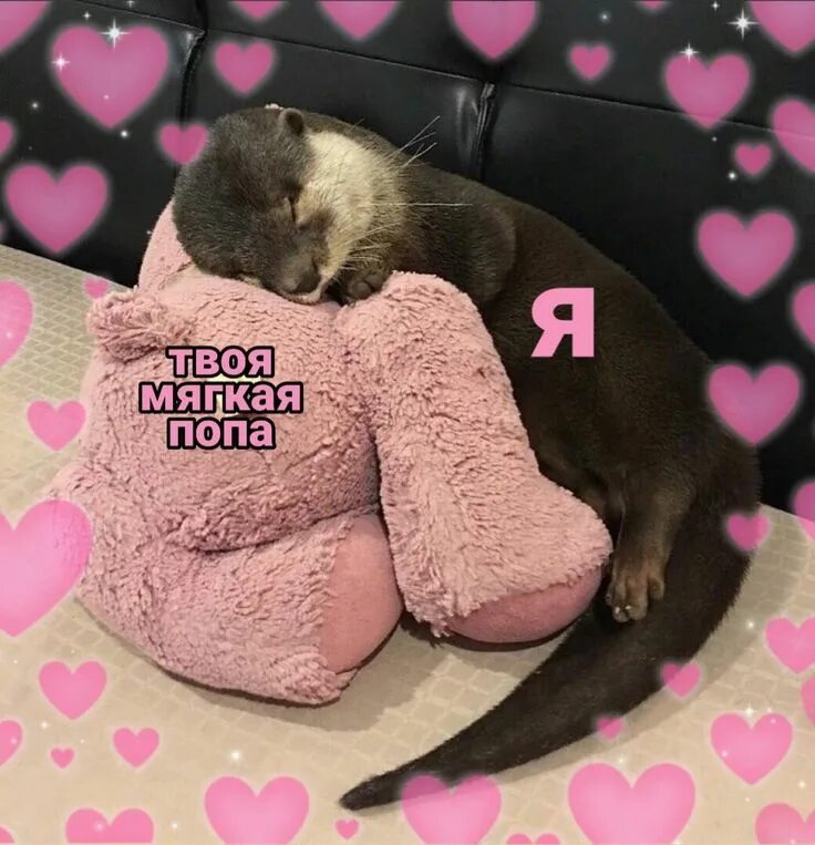 Милана стар мальчик ми ми. Милые пикчи про любовь. Милые пикчи для девушки. Ольга серябкина ми ми ми. Ме ме ме аниме.