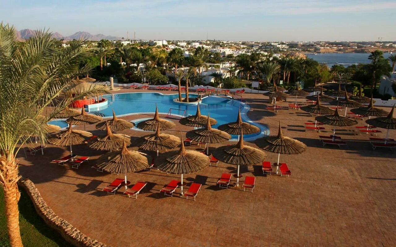 Отель domina coral bay bellavista. Tac египет. Domina coral bay red sea шарм-эль-шейх. Domina coral bay oasis 5*. Domina coral bay bella vista 5 египет шарм-эль-шейх.