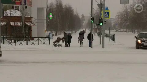 Население ноябрьска 2024