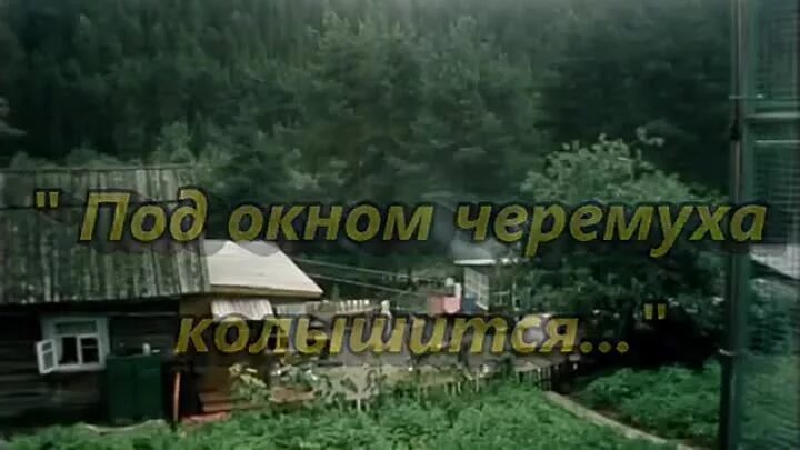 Под окном черемуха колышется твое имя. Под окном черемуха колыш тся. Песня под окном черемуха колышется. Под окном черёмуха колышится исполнитель Бандера.