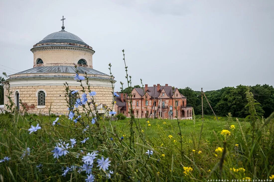 усадьбы подмосковья для прогулок летом. усадьба воейково пензенская область каменка. марфино голицын князь. усадьба воейкова в каменке. раскинувшийся 3 усадьбы.