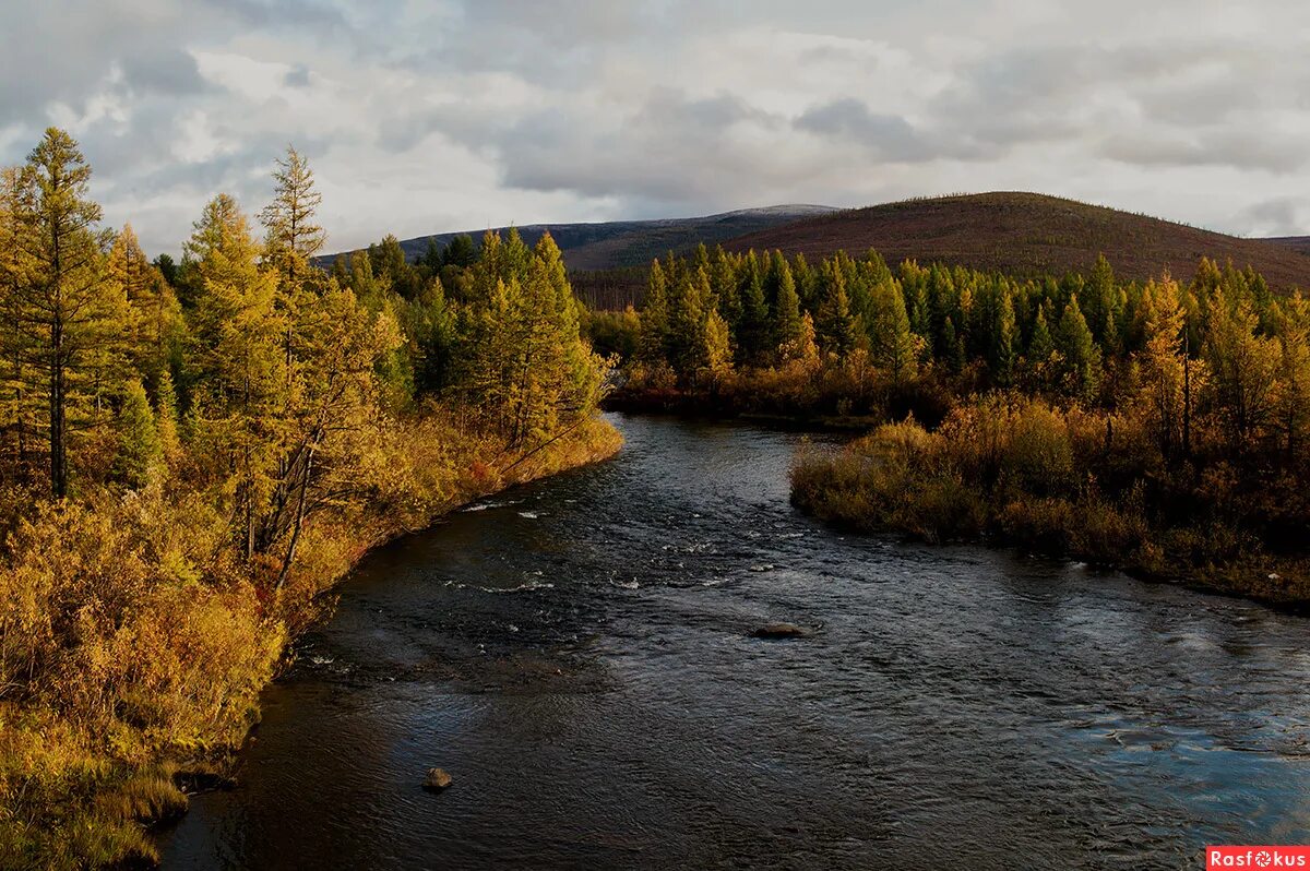 бодайбо город, витим. прииск маракан. поселок бодайбо иркутская область. мамакан иркутская область. город бодайбо иркутская область.
