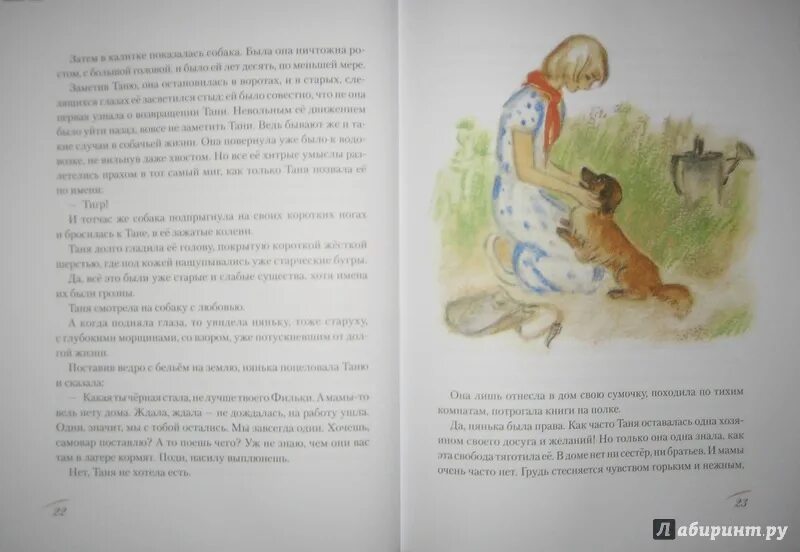 Дикая собака динго читать 6 класс. Дикая собака Динго, или повесть о первой любви. Дикая собака Динго, или повесть о первой любви книга. Дикая собака Динго иллюстрации к повести. Дикая собака Динго или повесть о первой любви иллюстрации к книге.