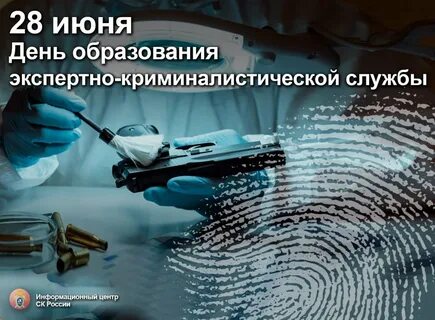 С днем экспертной службы открытки