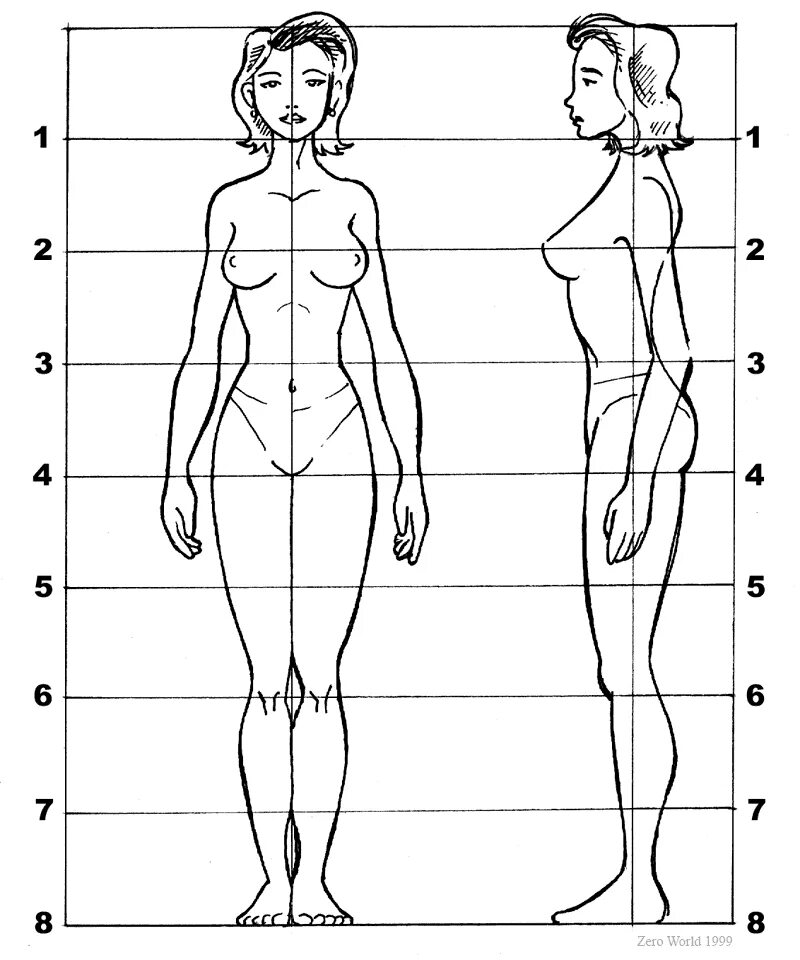 Ширину фигуры. Пропорции человека для рисования в полный рост. Пропорции головы женского тела. Схема построения человека. Построение человека в полный рост с пропорциями.