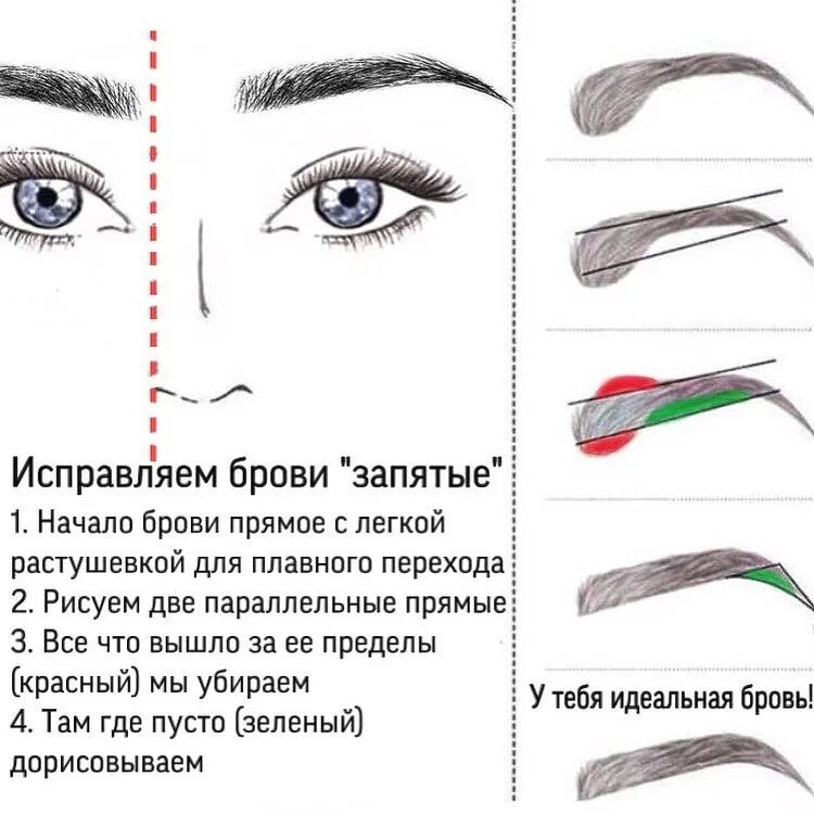 Схема как выщипать брови. Классическая схема построения бровей. Схема окрашивания бровей краской. Схема перманента бровей. Можно делать брови при месячных