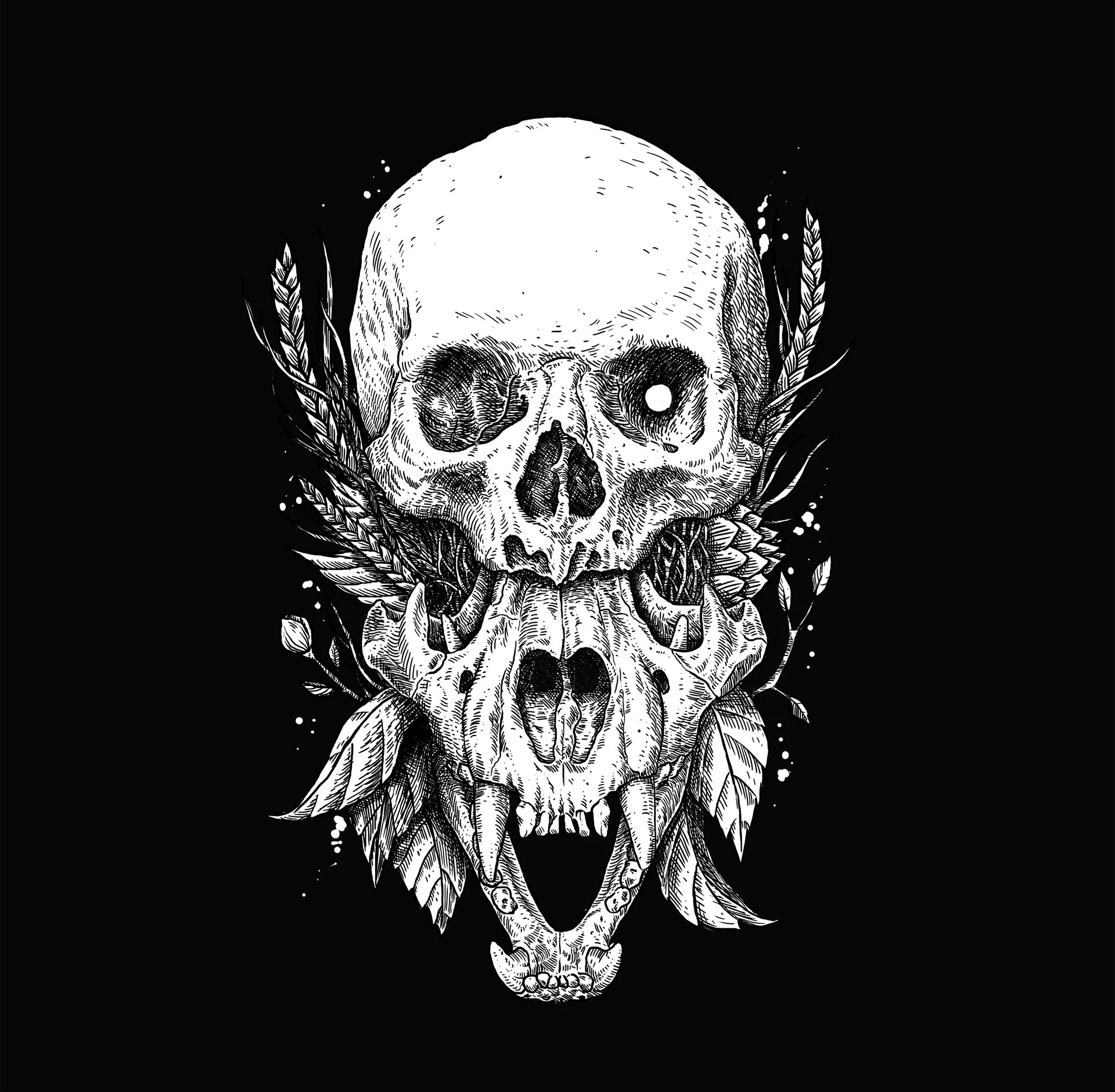 Skull download