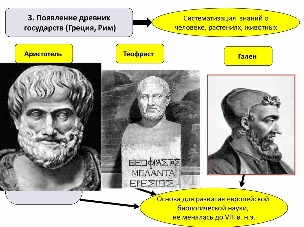 Древние учёные биологии. Биология в древней Греции. Древние ученые биологи. Наука древней Греции. Чем характеризуется биология в античный период