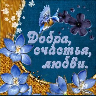 Картинки счастья и любви