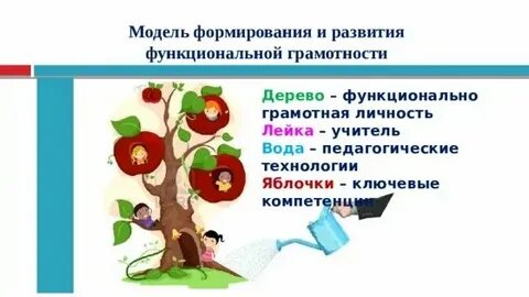 Полевой хомяк функциональная грамотность 2 класс презентация