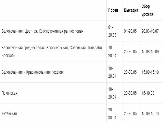 Расписание автобуса 481 кипень. Расписание автобуса 481 кипень